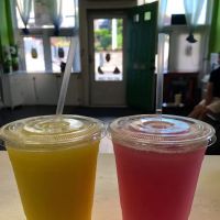 Herbalife Lifestyle ico