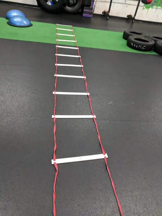 Revolution Training Picture 1