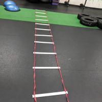 Revolution Training ico