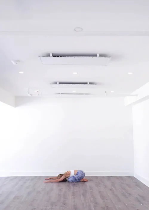 Studio45. Picture 1