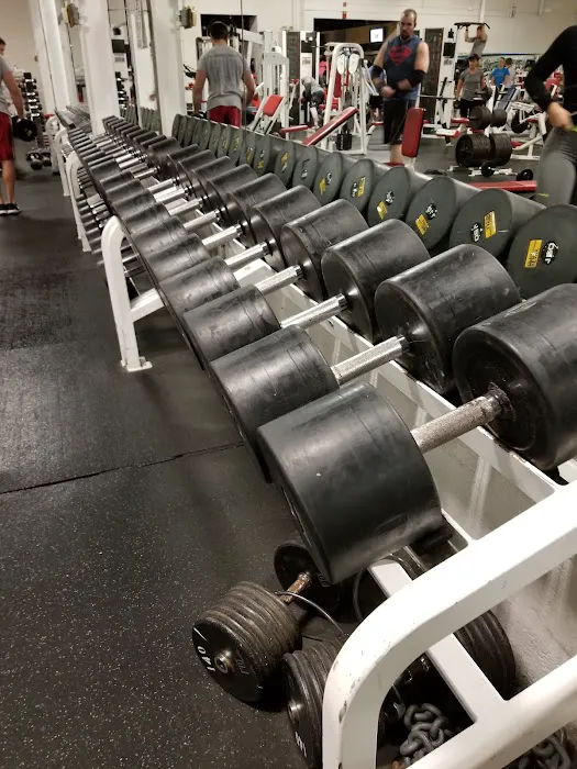 Powerhouse Super Gym Picture 3