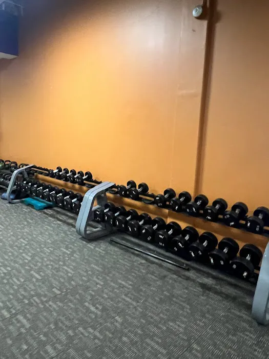 Anytime Fitness Picture 4