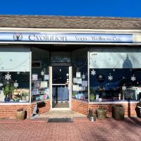 Evolution Yoga & Wellness Co., Newington CT ico