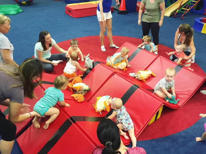 My Gym Children's Fitness Center Picture 6