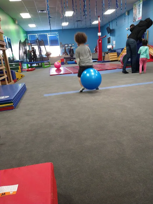 My Gym Children's Fitness Center Picture 9