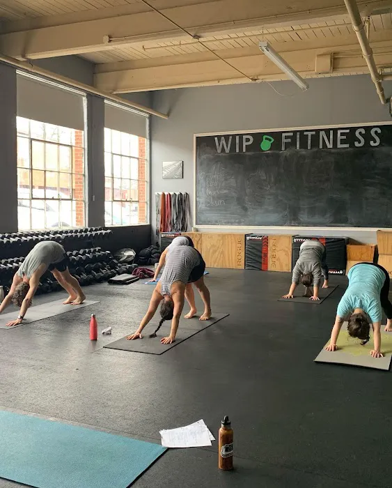 WIP Fitness Picture 8