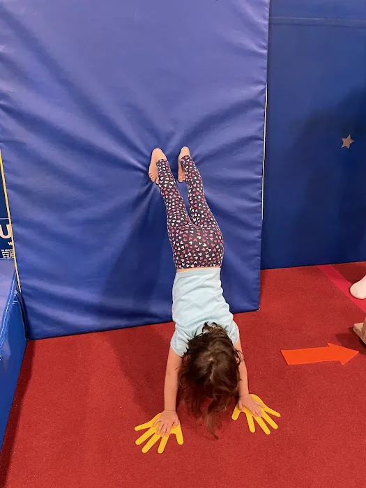 Sam's Academy Of Gymnastics And Tumbling LLC Picture 5