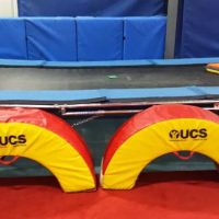 Sam's Academy Of Gymnastics And Tumbling LLC ico
