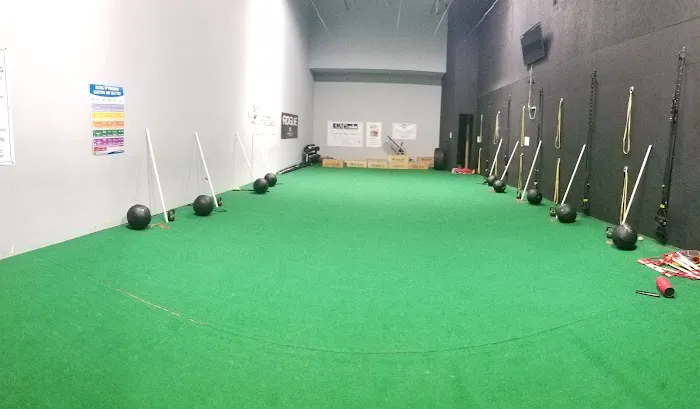 Ranfone Training Systems Picture 1