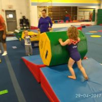 Connecticut Gymnastics Academy ico