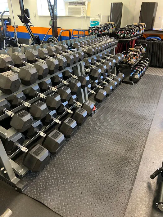 ELITE LIFE AND FITNESS STUDIO Picture 7