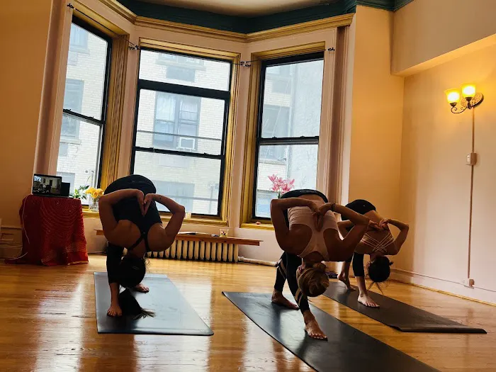 Ashtanga Open Practice Picture 1