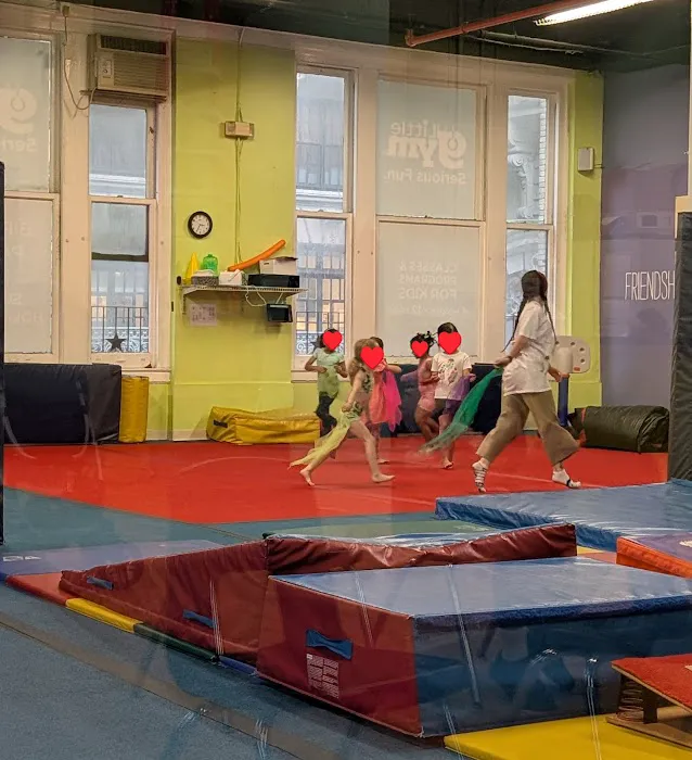 The Little Gym Upper Westside Picture 9