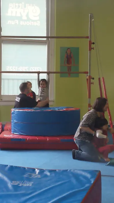 The Little Gym Upper Westside Picture 4