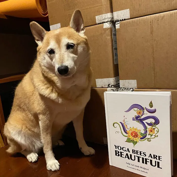 Yoga Bees Are Beautiful, LLC Picture 2