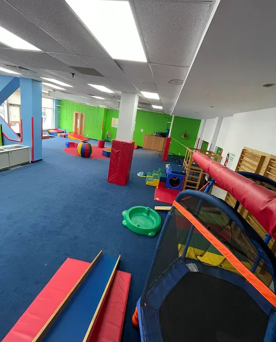 My Gym Children's Fitness Center Harlem Picture 2