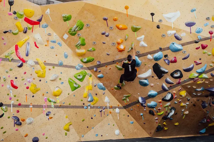 VITAL Climbing Gym - West Harlem Picture 8
