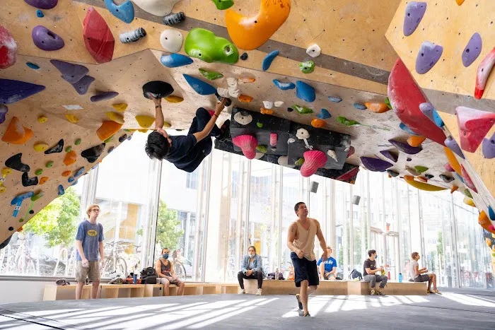 VITAL Climbing Gym - West Harlem Picture 6