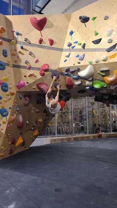 VITAL Climbing Gym - West Harlem Picture 4