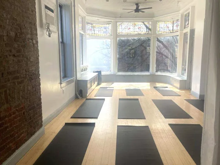 Yoga Lessons + Creative Practices Picture 8