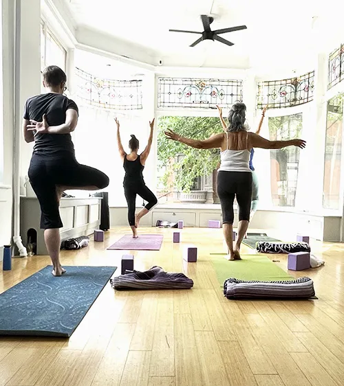 Yoga Lessons + Creative Practices Picture 10