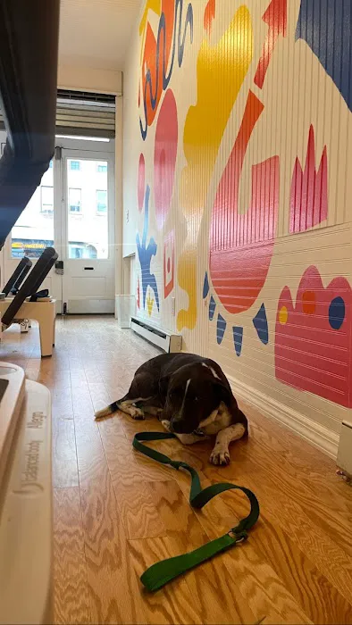 Good Time Pilates-Boerum Hill Picture 5