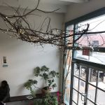 Studio Maya