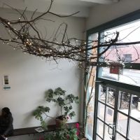 Studio Maya ico