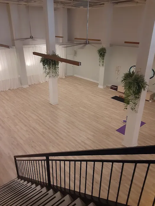 Prema Yoga Brooklyn / Prema Home Picture 3