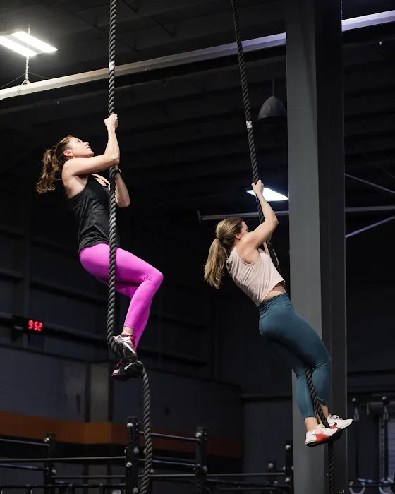 CrossFit Pushin Weight Picture 5