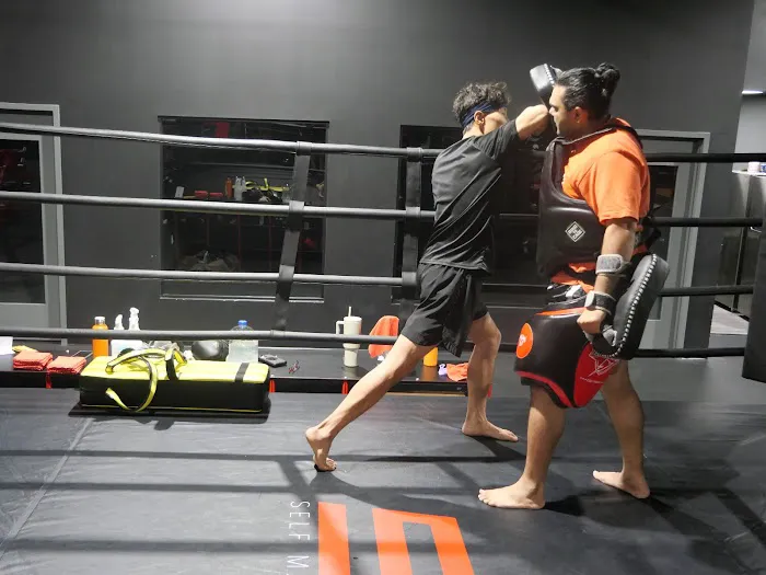 S12 MuayThai MMA Picture 5