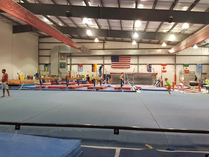 Virginia International Gymnastics School Picture 7