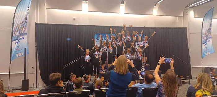 Virginia International Gymnastics School Picture 3