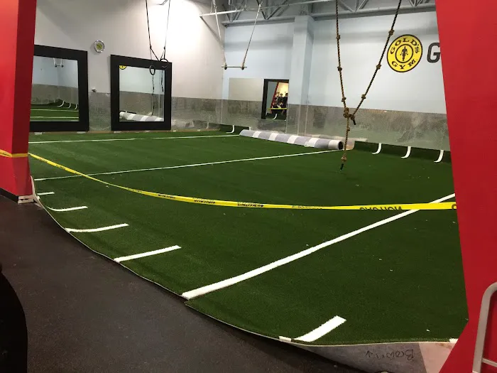 Gold's Gym Picture 6