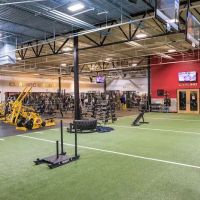 Gold's Gym ico