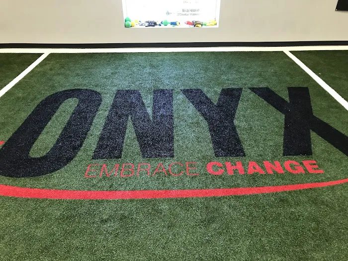 Onyx Elite Picture 2