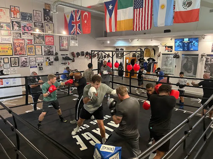 Vintage Boxing Gym & Fitness Picture 10