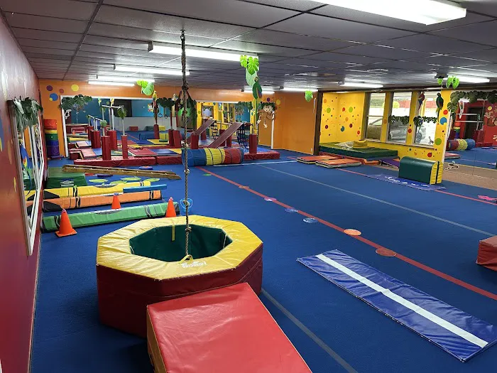 Youngstown Gymnastics Center Picture 8
