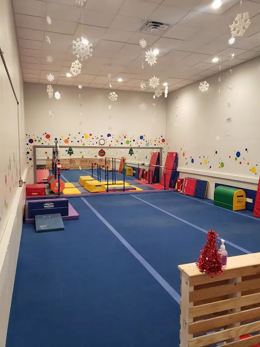 Youngstown Gymnastics Center Picture 10