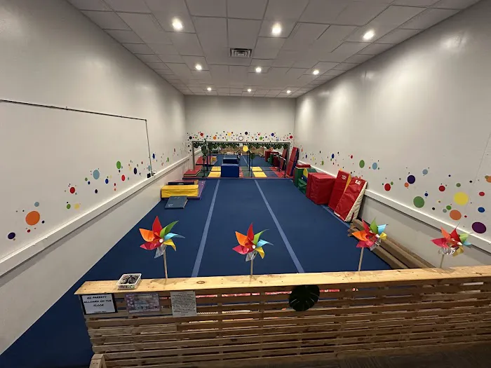 Youngstown Gymnastics Center Picture 3