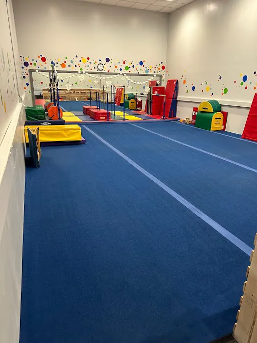 Youngstown Gymnastics Center Picture 7