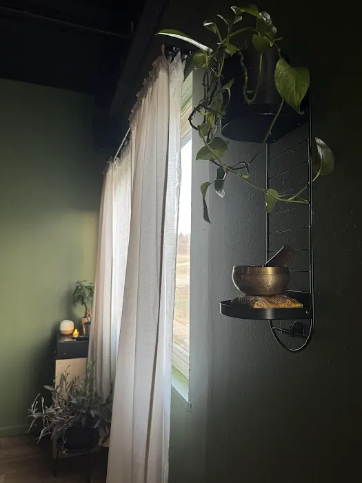 Root to Rise Yoga Picture 4