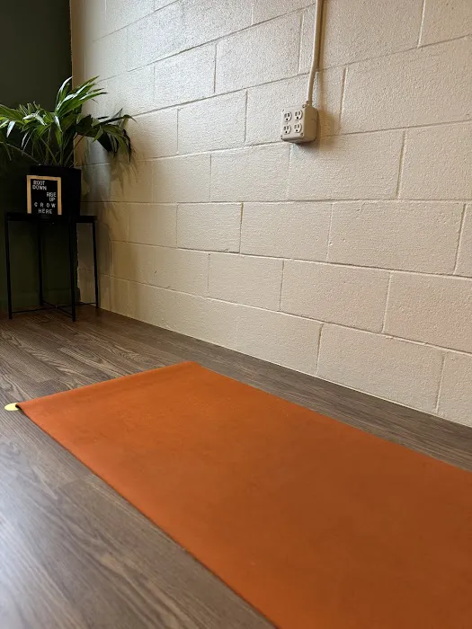 Root to Rise Yoga Picture 1