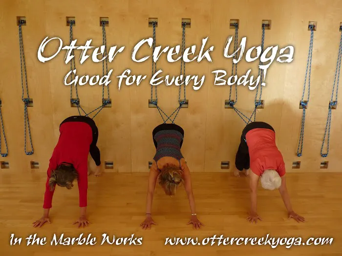 Otter Creek Yoga and Healing Arts Picture 8