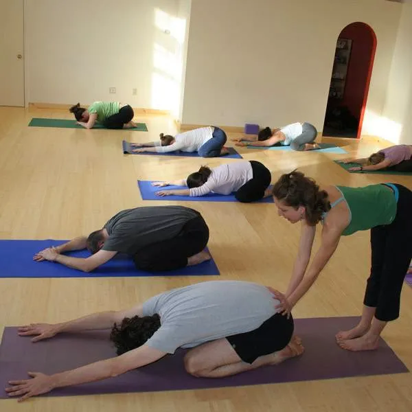 Otter Creek Yoga and Healing Arts Picture 3