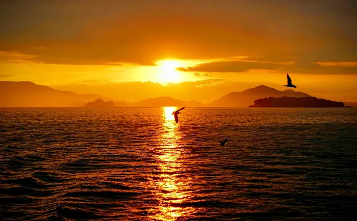 Sun Do Wellness Picture 6