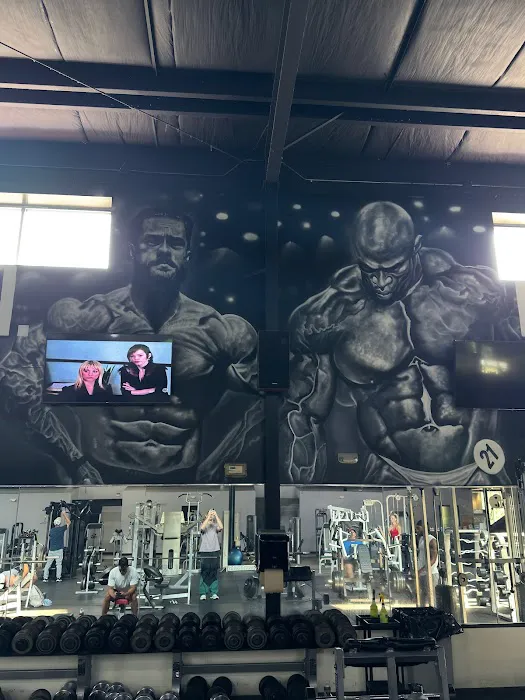 Powerhouse Gym Cromwell Picture 9
