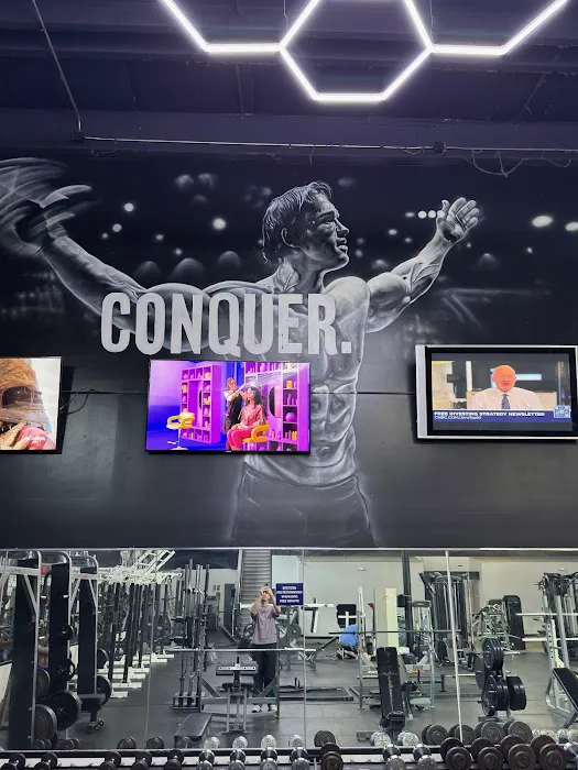Powerhouse Gym Cromwell Picture 3