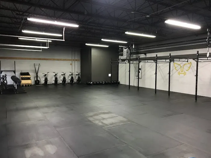 Golden Goose CrossFit Picture 8