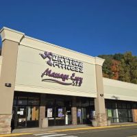 Anytime Fitness ico